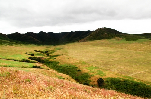 扎魯特山地草原風光
