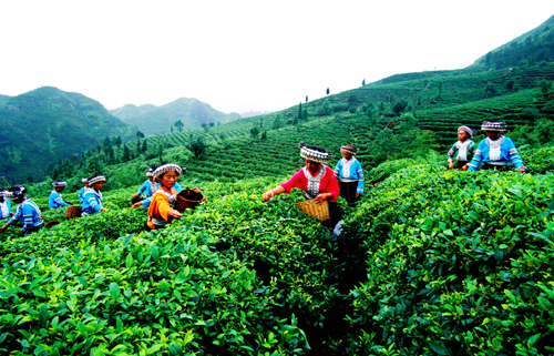 第四屆黔南旅發(fā)大會華麗開幕 魅力貴定感受布依風(fēng)情