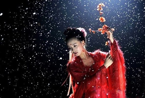 先樂(lè)后悲 清穿大戲步步演繹女子柔情阿哥驚心