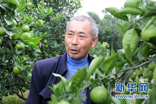 圖片故事:瀟湘村的幸福果園