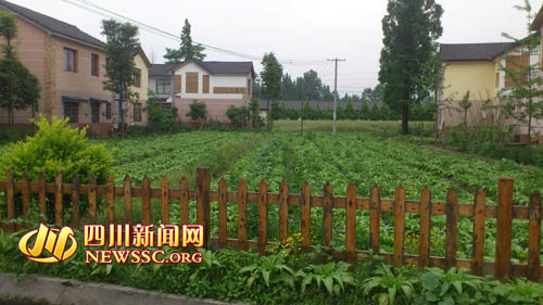 都江堰新農村 來了就不想走