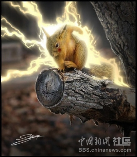 元芳很忙！細數那些一個不小心就火起來的“忙人”