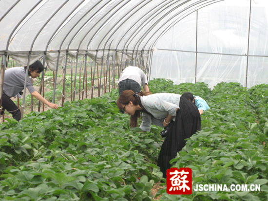 對口援建成效顯著 江蘇助綿竹堅強(qiáng)崛起