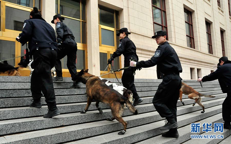 警犬“助陣”兩會安保工作:大會堂內細致檢查