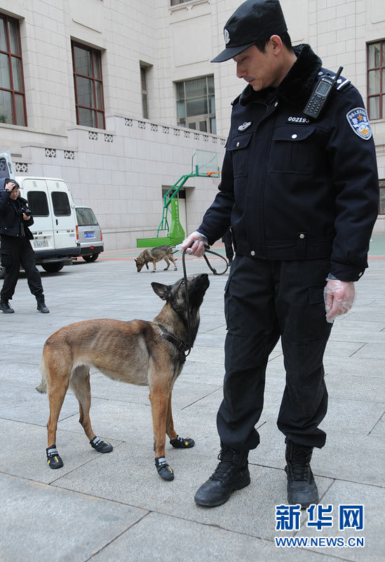 警犬“助陣”兩會安保工作:大會堂內細致檢查