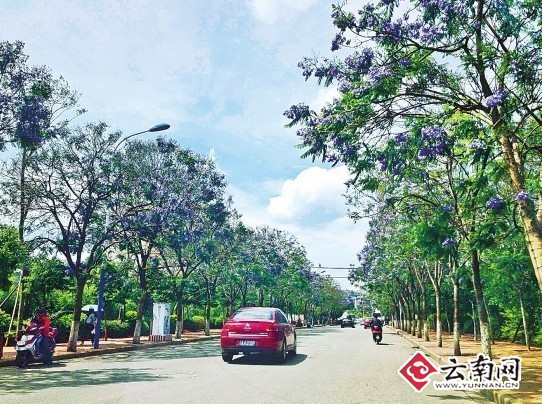 昆明迎南博整治市容市貌:讓春城這扇窗口更靚麗