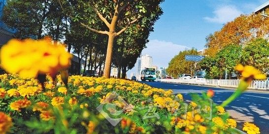 市民文明監督團與記者“驗收”昆明整治道路