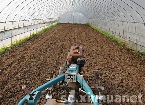 蔬菜大棚幫助青川災區農民走上致富道路
