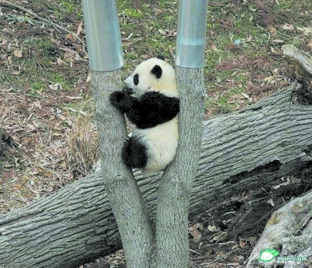 哥看的不是天空 是寂寞！