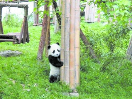 哥看的不是天空 是寂寞！