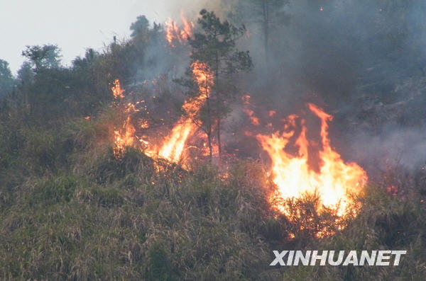 湖南省湘鄉發生森林大火 百畝森林被燒[圖]