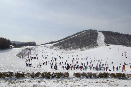 神農架滑雪旅游春節強勢升溫
