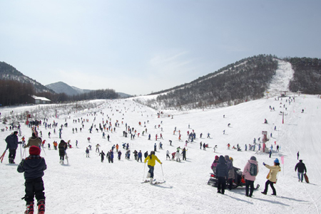 神農架滑雪旅游春節強勢升溫