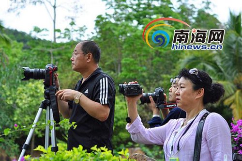 學(xué)者建議：建立世界級(jí)海南熱帶雨林國(guó)家公園