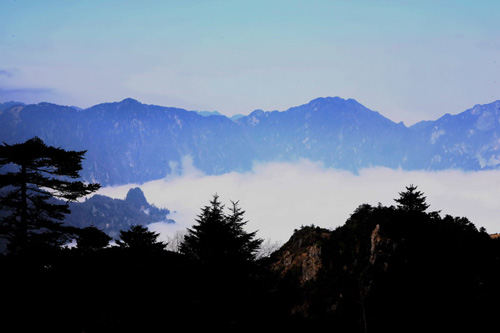 神農架出現霧凇和云海的景觀（圖）
