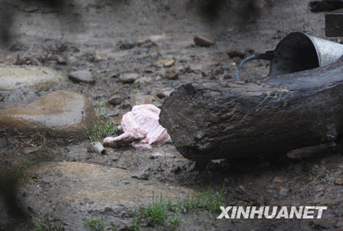 上海動物園發生意外 老虎咬死飼養員