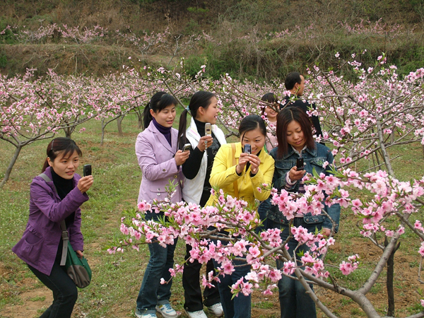 西峽生態(tài)美景如畫(huà)
