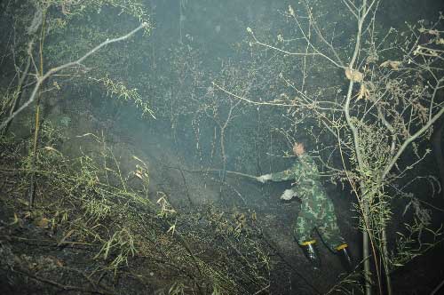 重慶主城區發生大面積山火 政府發緊急通知