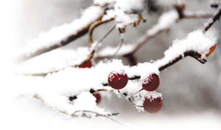 蘇北飛雪，蘇中蘇南飄“霰”