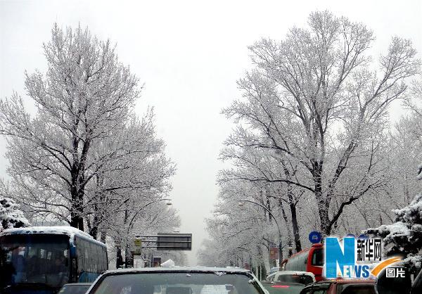 吉林省出現大范圍雨雪天氣