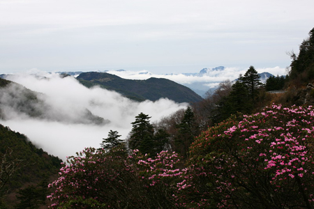 神農架公布旅游節景區門票優惠政策