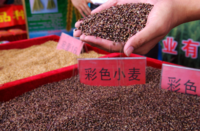 圖說農(nóng)洽會