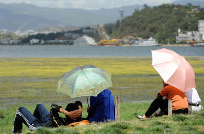 大理建設(shè)萬畝生態(tài)濕地保護(hù)洱海水質(zhì)
