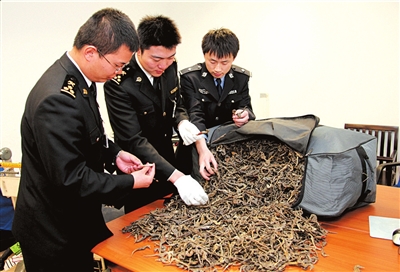 首都機場海關截獲上百公斤非法入境干海馬