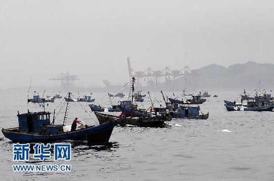 大連組織500余艘漁船出海清污