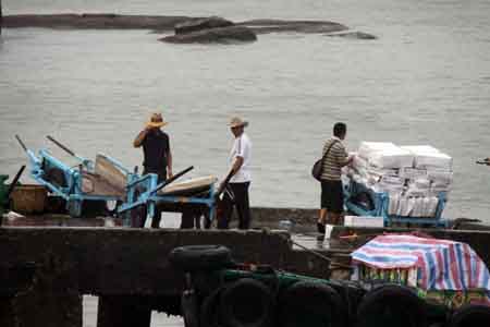 廈門(mén)突降陣雨 鼓浪嶼游客清涼旅行