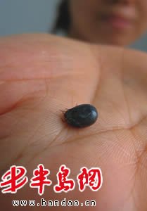衛生部發布“蜱的特點及預防控制知識”