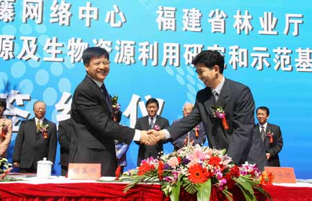 福建首發(fā)森林生態(tài)價(jià)值評(píng)估 總價(jià)超七千億