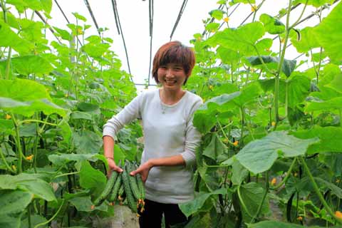 “農超對接”穩菜價(圖)