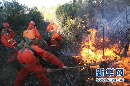 云南省玉龍縣森林大火已基本撲滅 火災原因在調(diào)查中
