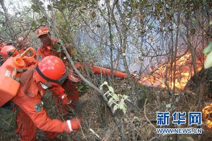 云南省玉龍縣森林大火已基本撲滅 火災原因在調(diào)查中