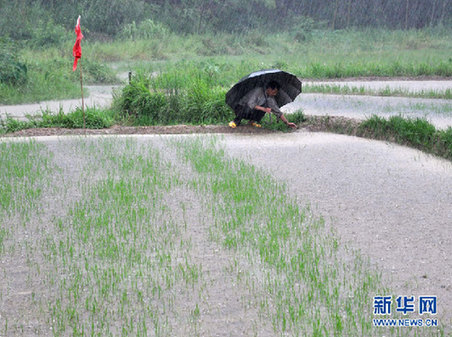 長江中下游“旱澇急轉(zhuǎn)” 專家解讀極端天氣現(xiàn)象