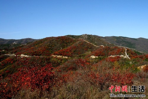 盤點國內十大“秋色”