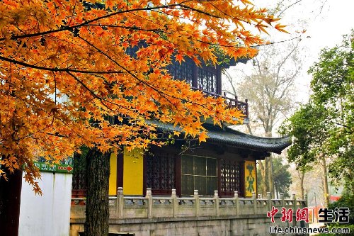 盤(pán)點(diǎn)國(guó)內(nèi)十大“秋色”