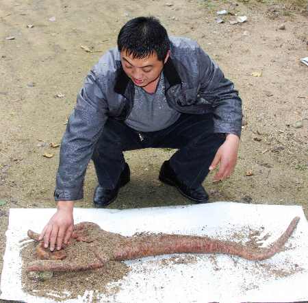西峽一村民挖出“佛手”狀巨型野生山藥
