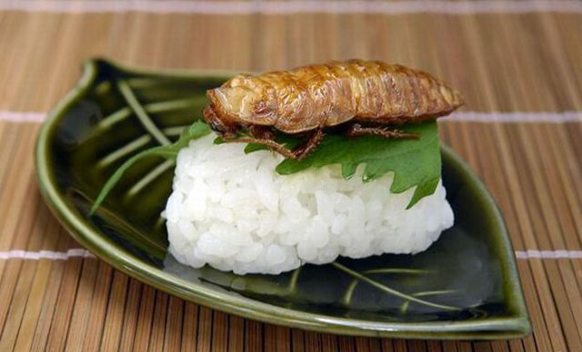 重口味:昆蟲壽司你敢吃嗎?