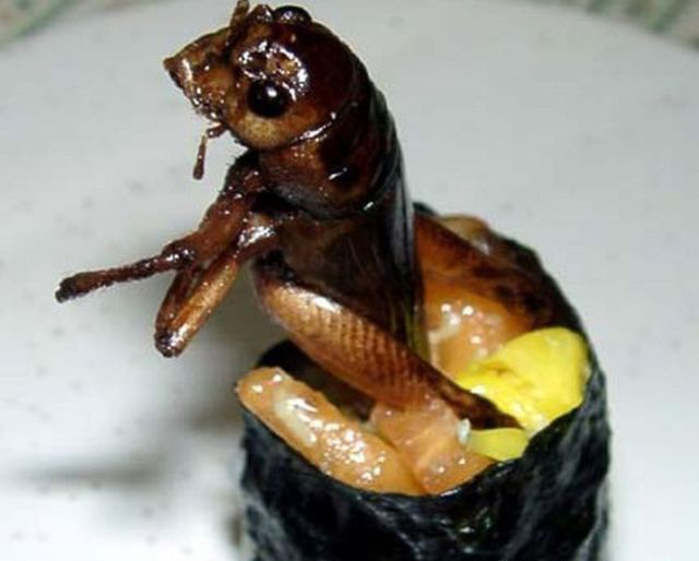 重口味:昆蟲壽司你敢吃嗎?