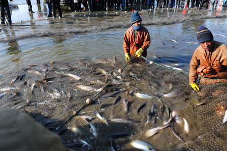 冰湖騰魚:盤錦市冬捕文化節開幕