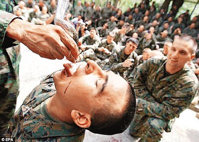 7國聯合軍演:美士兵殺毒蛇 喝蛇血吞內臟