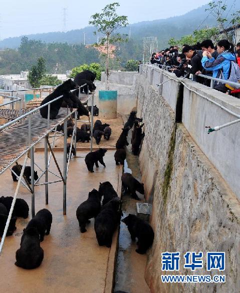 “活熊取膽”該達(dá)成什么樣的共識(shí)