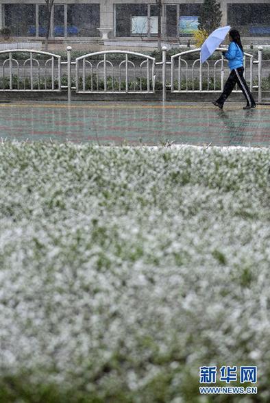 “雨雪風(fēng)沙齊至”：最近天氣有點(diǎn)亂 出門請注意