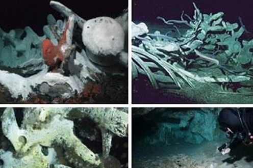 沉船遺骸 探秘不為人知的海底墳?zāi)?/></p>

<p>　　人們還曾在墨西哥尤卡坦水下洞穴中發(fā)現(xiàn)了生活在1萬零500年前的人類骷髏。在水里發(fā)現(xiàn)人類骷髏是一件很不尋常的事情，介于世界上被水體覆蓋的面積，在水里找到人類遺骸就好比在大海里撈針。</p>
</p>
</div>
</div>

<div   class=