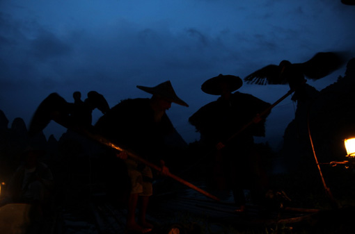 老人和魚(yú)鷹