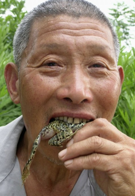 令人瞠目結舌的全球另類療法