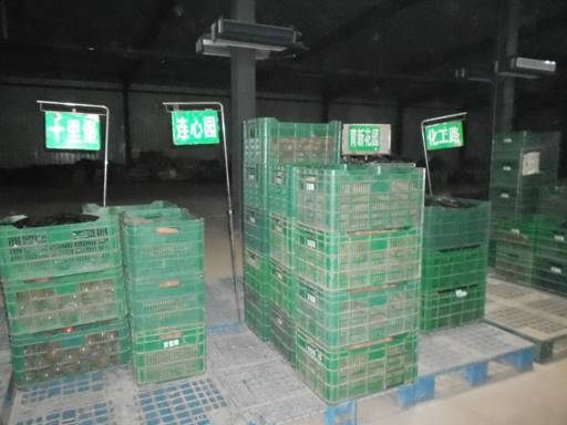 十八大后看河北：廊坊市固安縣蔬菜產業(yè)建設成果點擊
