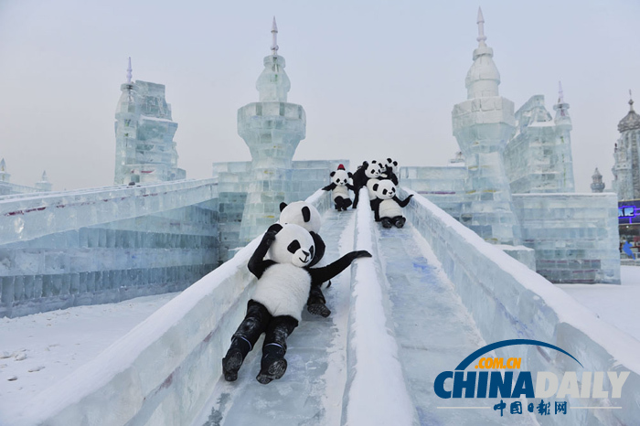 哈爾濱冰雪大世界 “大熊貓”憨態可掬